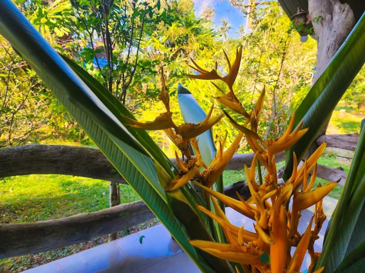 Banmae Resort Kohchang Koh Chang Eksteriør billede